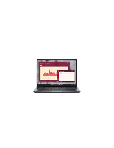 Dell Pro 14 (PC14250)